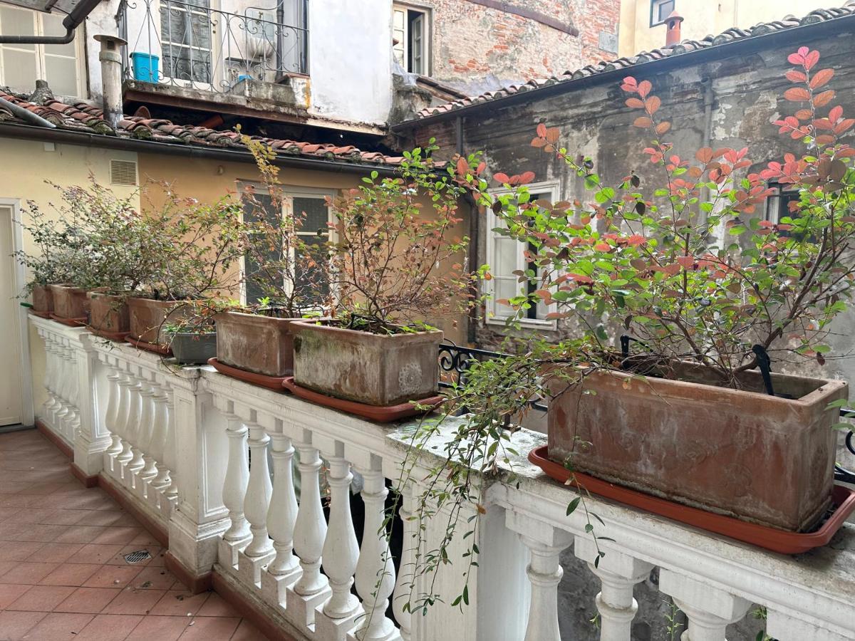 In Centro Lovely Home Λούκα Εξωτερικό φωτογραφία